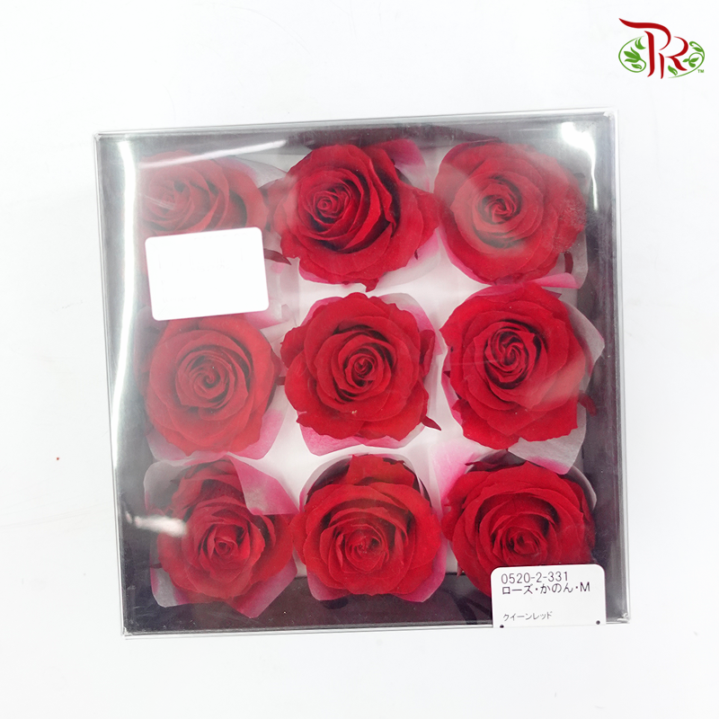 Rose Kanon M Preservative - Red ( 0520-2-331 ) - Pudu Ria Florist