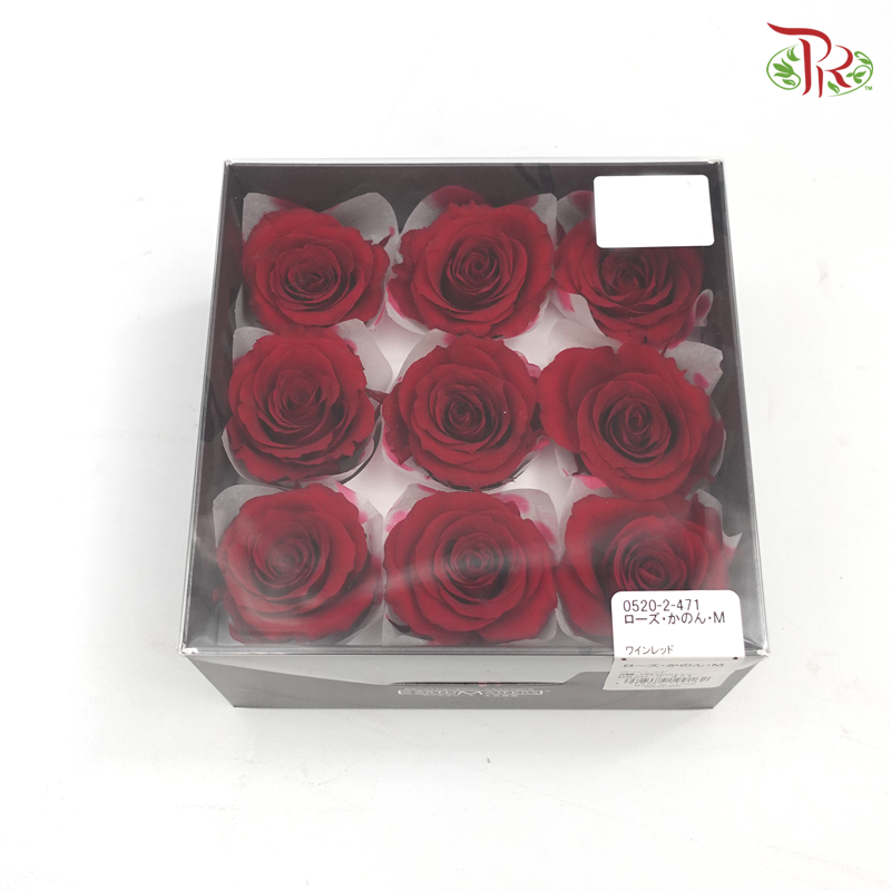 Rose Kanon M Preservative - Bright Red ( 0520-2-471 ) - Pudu Ria Florist
