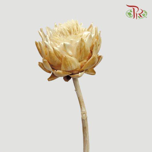 Dry Artichoke - Per Stem - Pudu Ria Florist