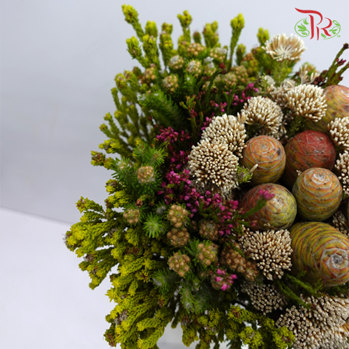 Safari Mix (Cone/Cape) - 2 (Per Bunch)***Random Mix Cape Cone - Pudu Ria Florist