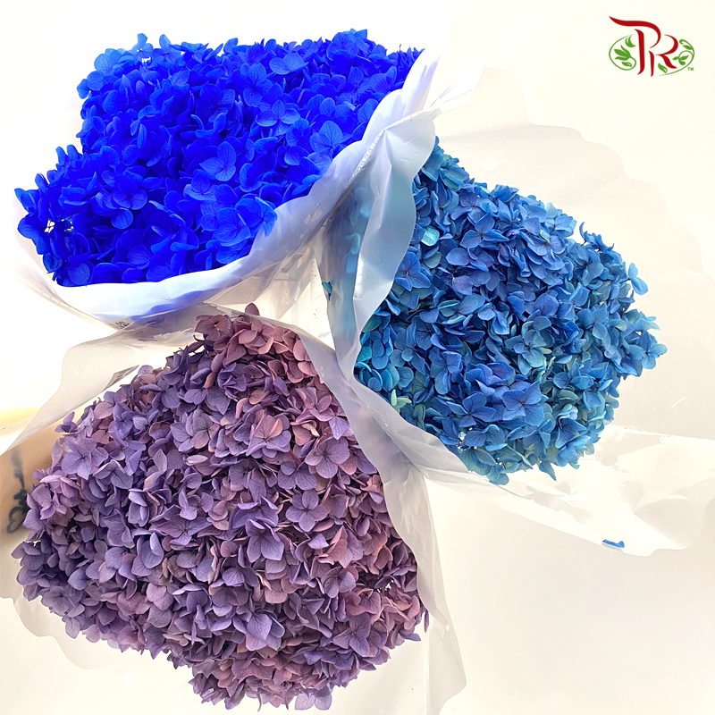 Preserved Hydrangea ( Variety Tone) - Pudu Ria Florist