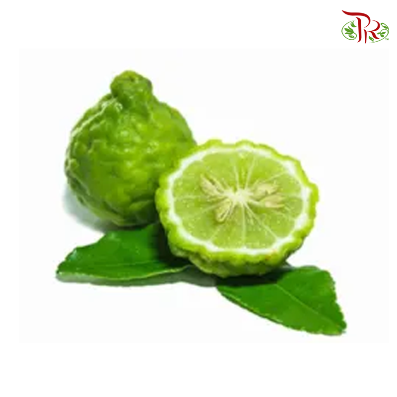 Kaffir Lime-small ( Per unit) - Pudu Ria Florist