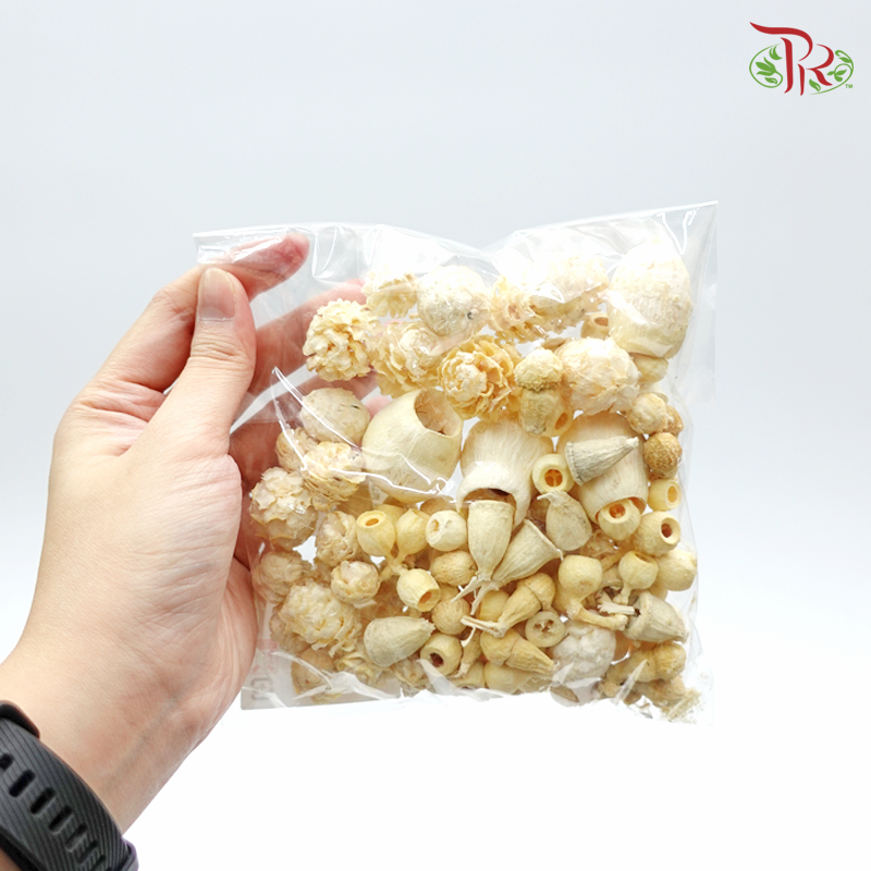Nuts Mixed Small Preservative ( 2484-1-010 ) - Pudu Ria Florist