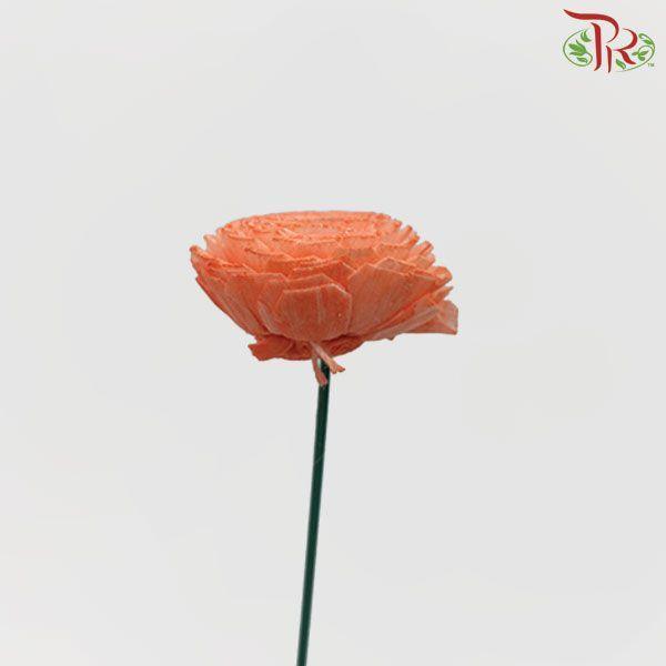 Dry Aeschynomene Small - Orange (5 Stems) - Pudu Ria Florist