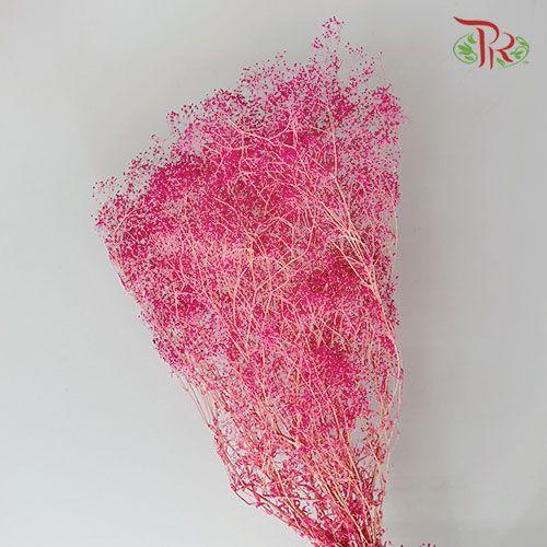 Baby Breath Preservative - Pink - Pudu Ria Florist