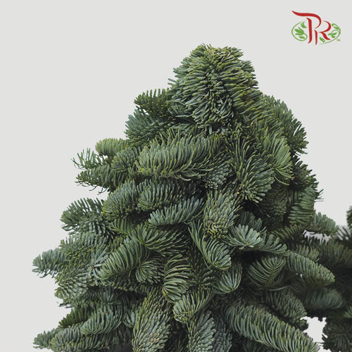 Mini Christmas Tree - (60 CM) - Pudu Ria Florist