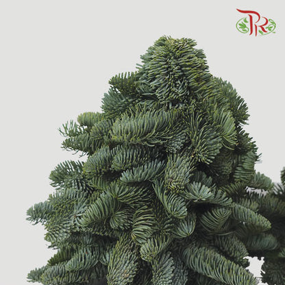 Mini Christmas Tree - (40 CM) - Pudu Ria Florist