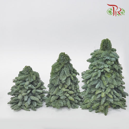 Mini Christmas Tree - (60 CM) - Pudu Ria Florist