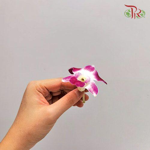 Sonia Orchid Loose (1KG) - Pudu Ria Florist
