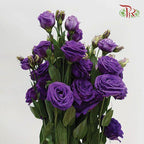 Eustoma - Purple (700-800 Gram) - Pudu Ria Florist