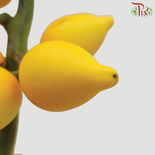 Solanum Mammosum Long - Per Stem - Pudu Ria Florist