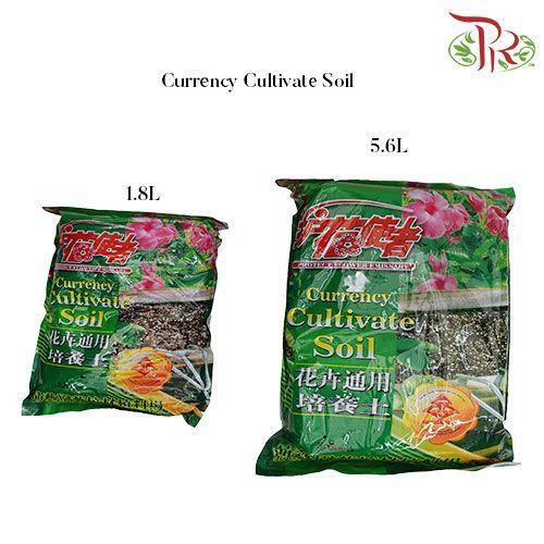 Currency Cultivate Soil- 1.8L 花卉通用培养土 - Pudu Ria Florist