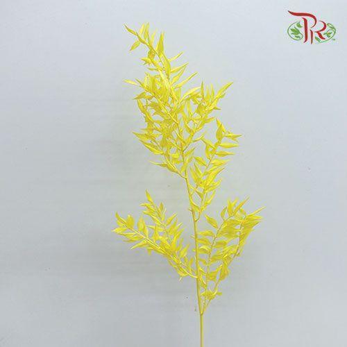 Dry Ruscus Colour - Yellow (5 Stems Per Bundle) - Pudu Ria Florist