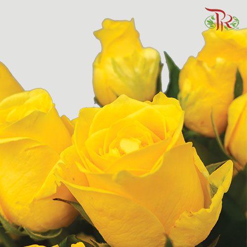 Rose Premium - Yellow (19-20 Stems) - Pudu Ria Florist