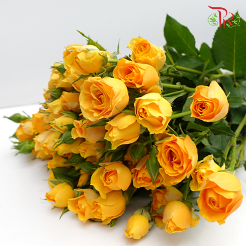 Rose Spray - Yellow (10 Stems) - Pudu Ria Florist