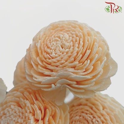 Dry Aeschynomene Small - Peach (5 Stems) - Pudu Ria Florist