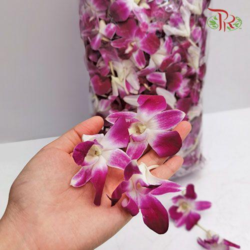 Sonia Orchid Loose (1KG) - Pudu Ria Florist