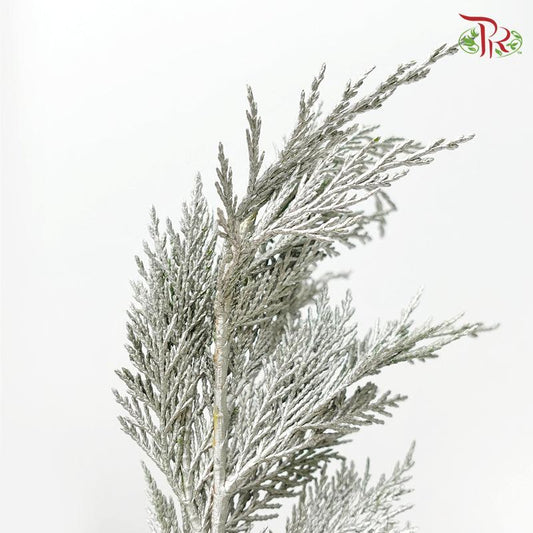 Cedar Leaf Dyed Silver - (5 Stems) - Pudu Ria Florist