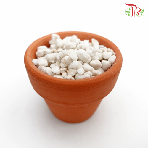 Perlite - 3L 珍珠岩 - Pudu Ria Florist