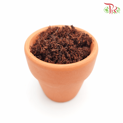 Coco Peat - 1.5kg 椰糠 - Pudu Ria Florist