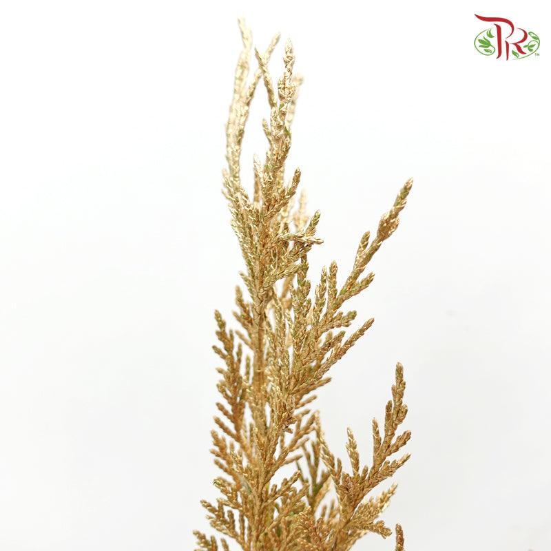 Cedar Leaf Dyed Gold - (5 Stems) - Pudu Ria Florist