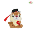 Graduation Toy- FTY014#6 - Pudu Ria Florist