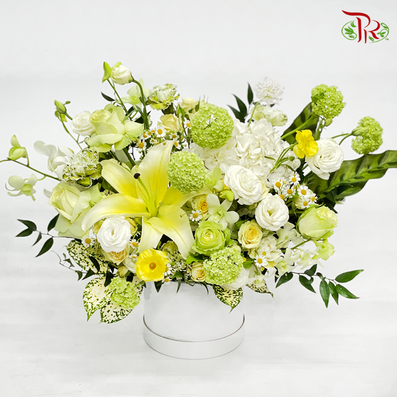 Flower Box Arrangement- Festive Yellow & Green - Pudu Ria Florist