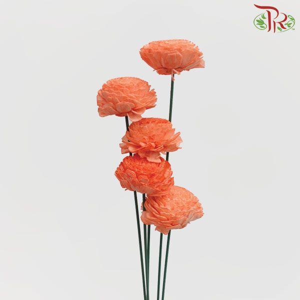 Dry Aeschynomene Small - Orange (5 Stems) - Pudu Ria Florist