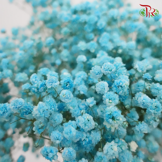 Baby's Breath -Sapphire Blue (0.4kg- 0.5kg) - Pudu Ria Florist