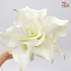 Bridal Bouquet- Calla Lily ( 10 stems) - Pudu Ria Florist