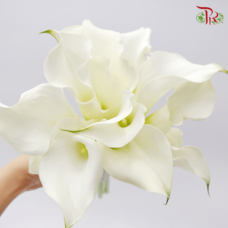 Bridal Bouquet- Calla Lily ( 10 stems) - Pudu Ria Florist