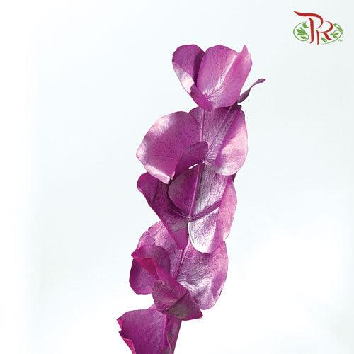 Eucalyptus Dyed Metal Preservatives - Purple - Pudu Ria Florist