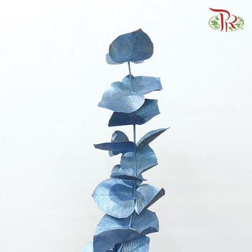 Eucalyptus Dyed Metal Preservatives - Blue - Pudu Ria Florist