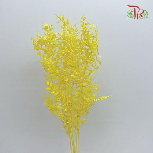 Dry Ruscus Colour - Yellow (5 Stems Per Bundle) - Pudu Ria Florist