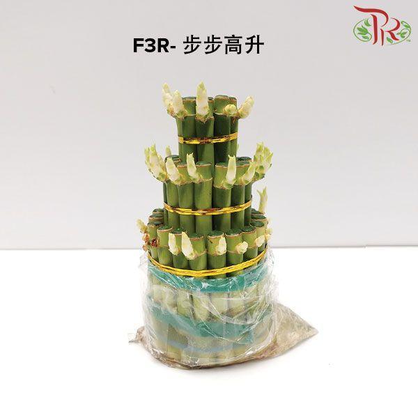 F3R-17CM Bamboo With Vase 步步高升 - Pudu Ria Florist