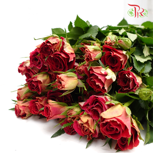 Rose Spray - Pretty (10 Stems) - Pudu Ria Florist