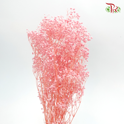Preserved Baby's Breath- Light Pink #5 - Pudu Ria Florist