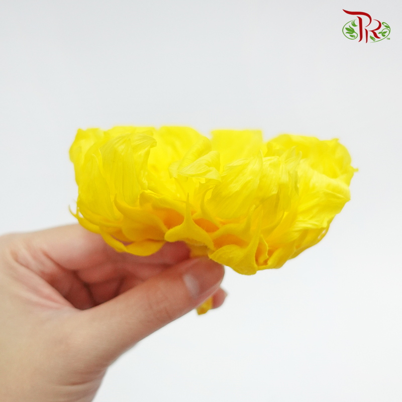 Preserved Sunflower - Inner Yellow (Per Bloom) - Pudu Ria Florist