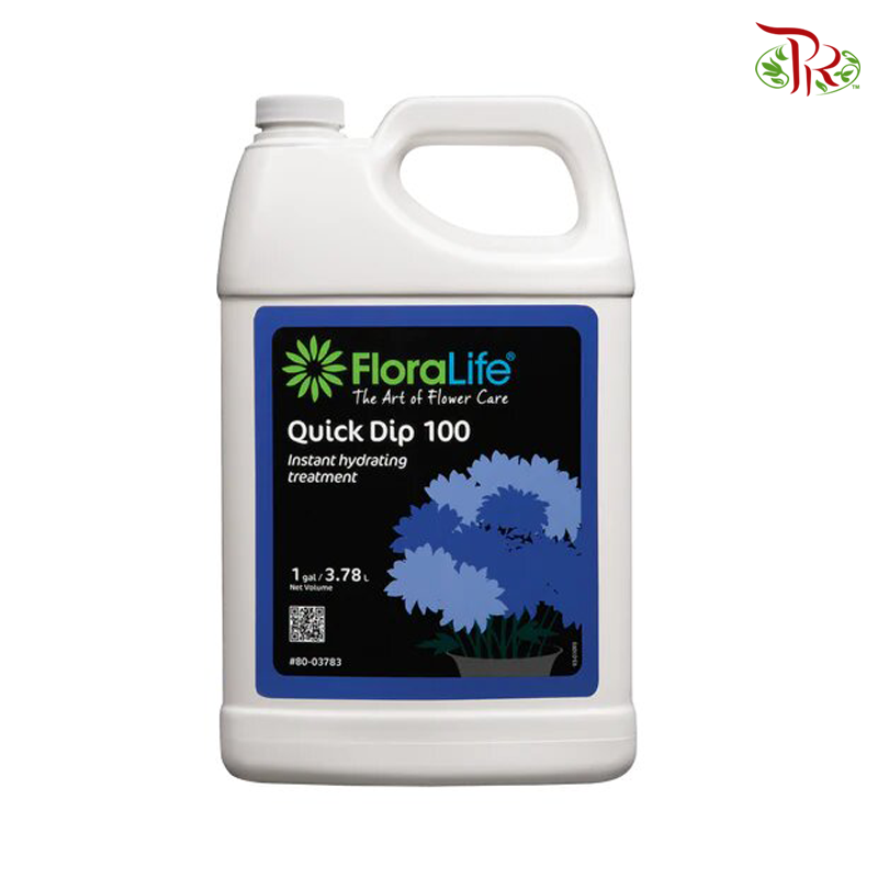 Quick Dip 100 - Instant Hydrating Treatment (80-03783) - Pudu Ria Florist